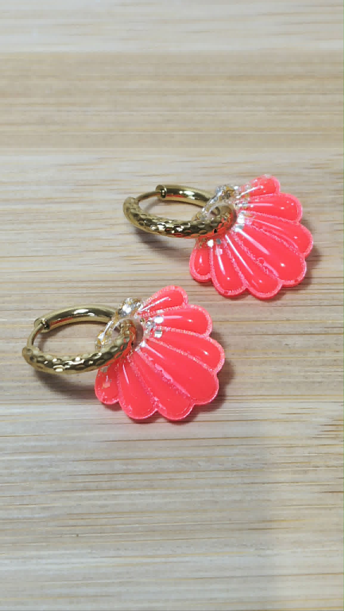 Coquillages (plusieurs coloris)