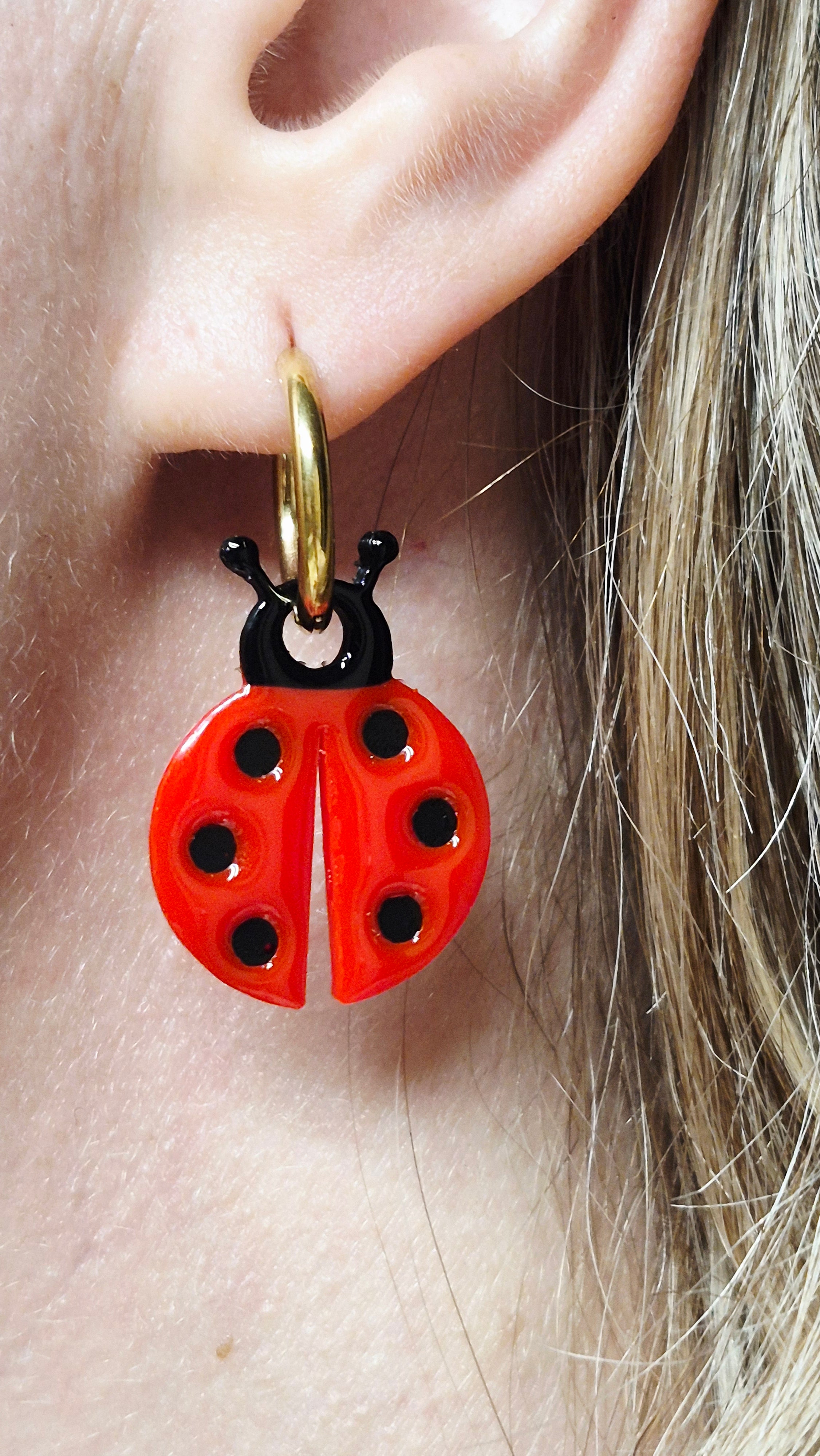 Coccinelles