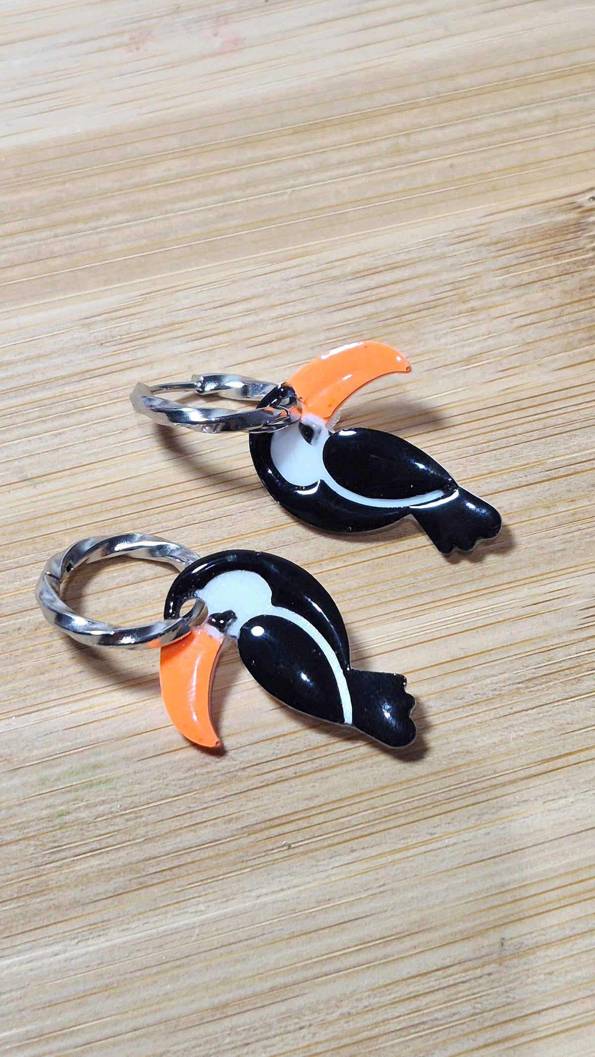 Oiseaux Toucan