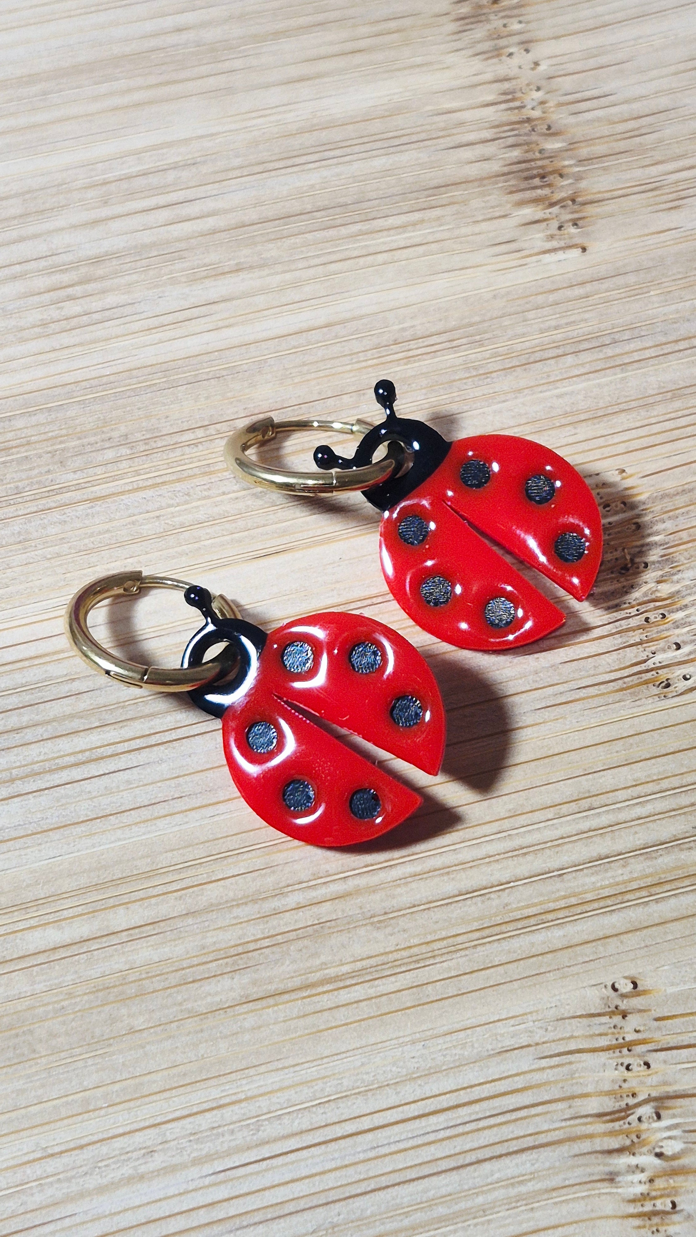Coccinelles