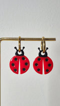 Coccinelles