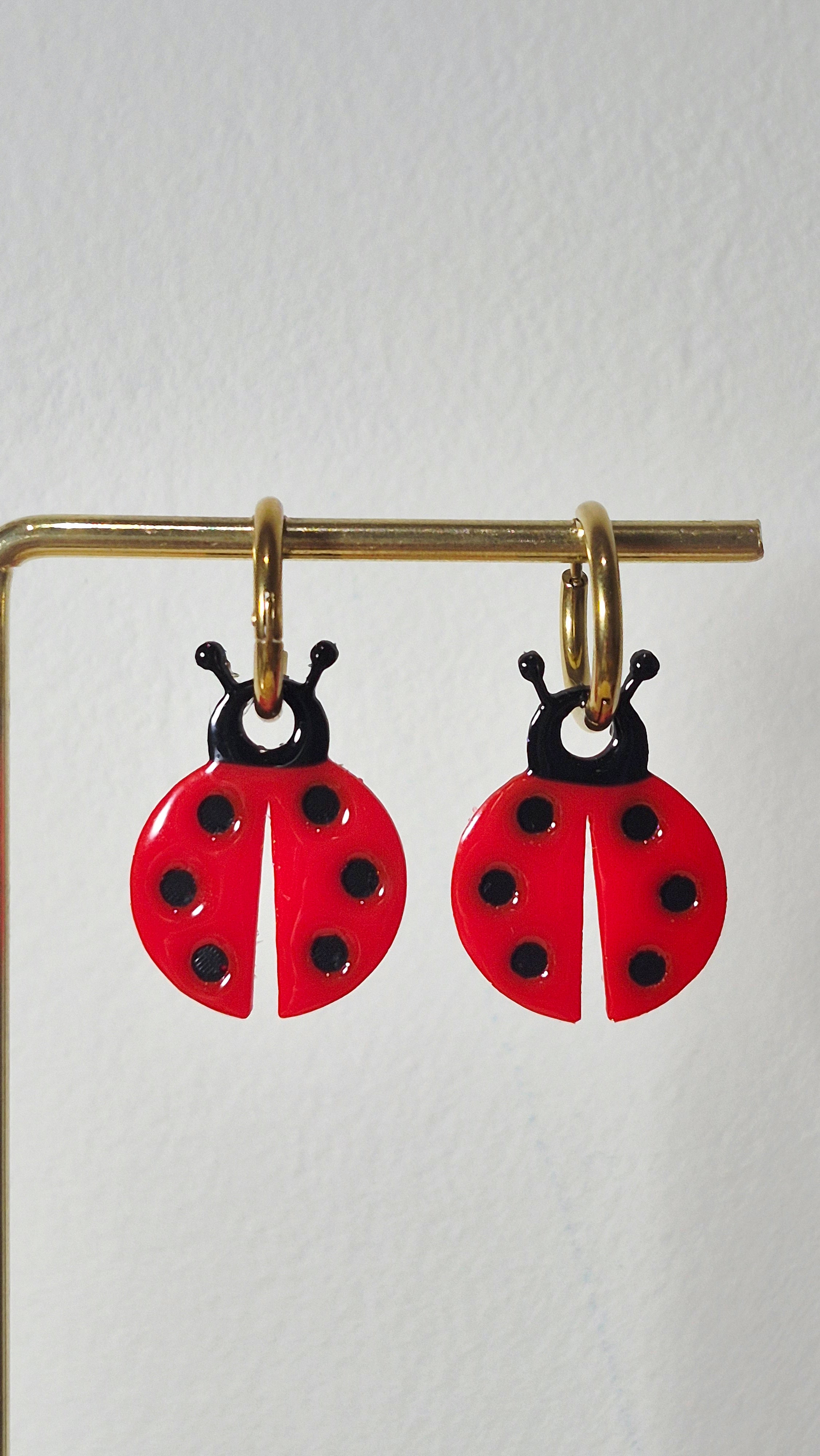 Coccinelles