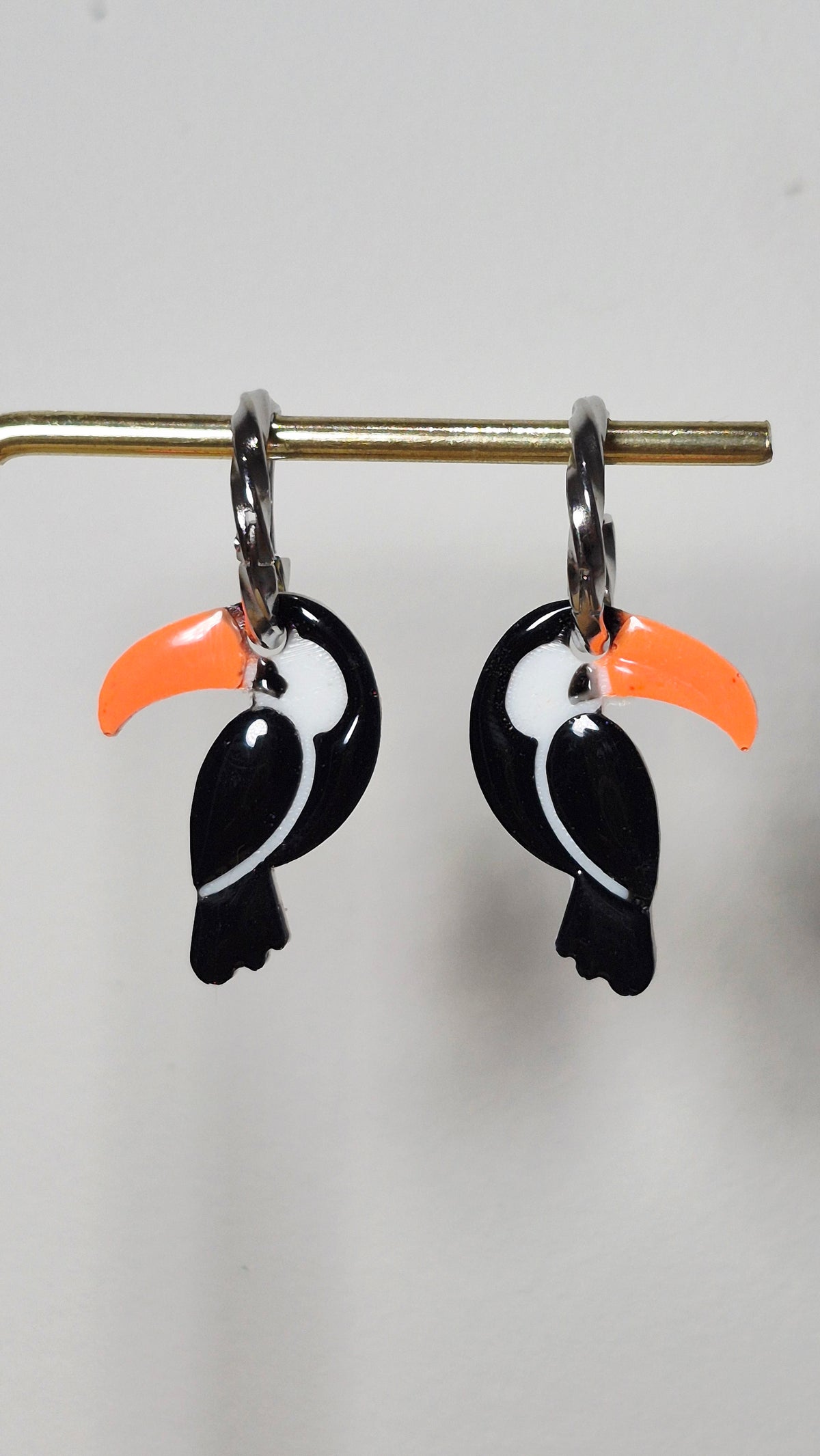 Oiseaux Toucan