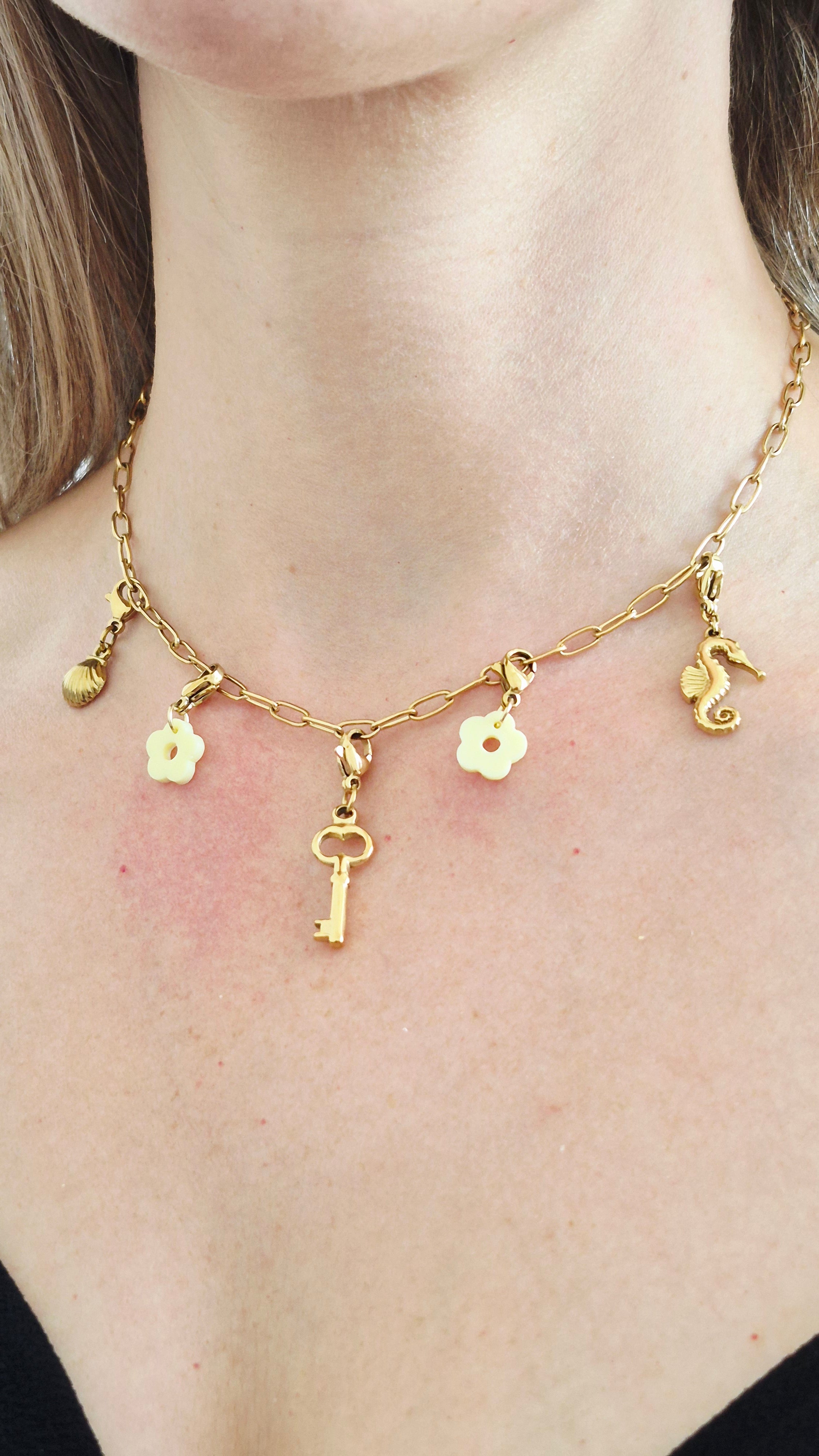 Collier charms collection évasion